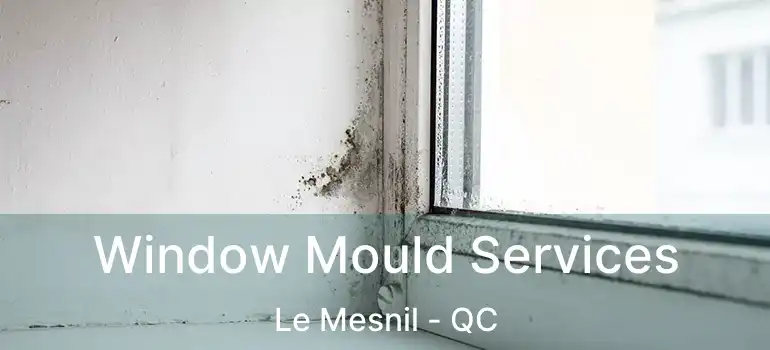  Window Mould Services Le Mesnil - QC