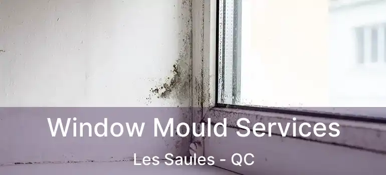  Window Mould Services Les Saules - QC
