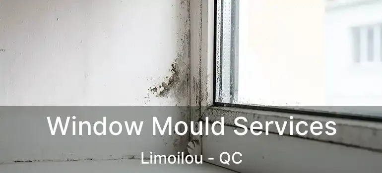 Window Mould Services Limoilou - QC