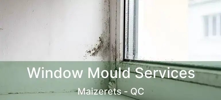  Window Mould Services Maizerets - QC