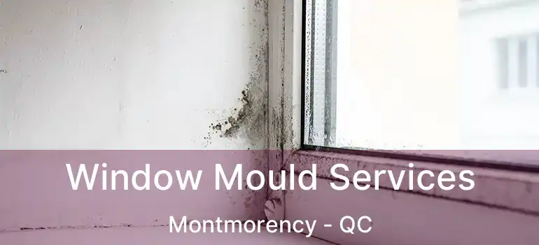  Window Mould Services Montmorency - QC