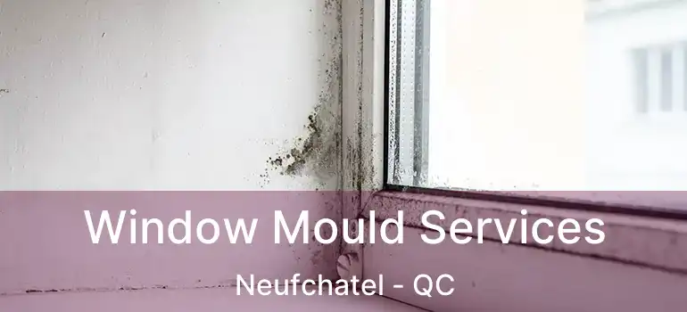 Window Mould Services Neufchatel - QC