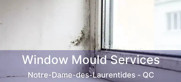  Window Mould Services Notre-Dame-des-Laurentides - QC