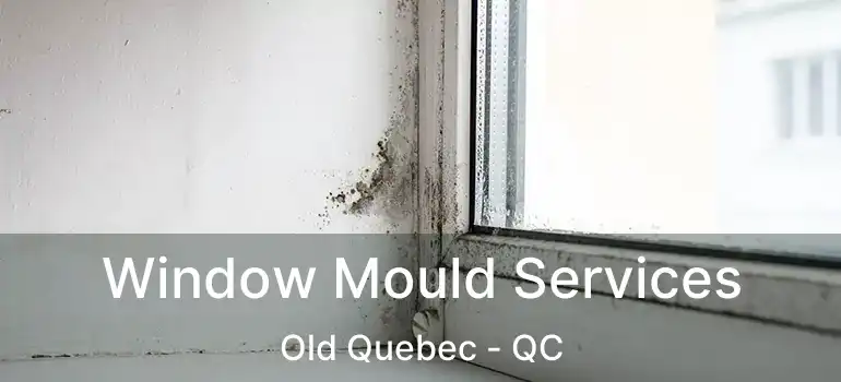  Window Mould Services Old Quebec - QC