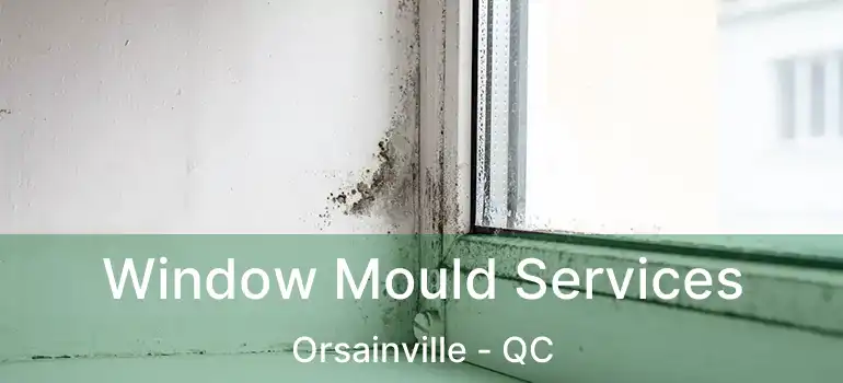  Window Mould Services Orsainville - QC