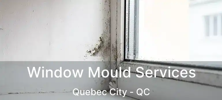  Window Mould Services Quebec City - QC