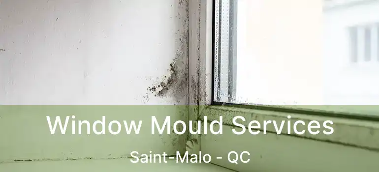  Window Mould Services Saint-Malo - QC