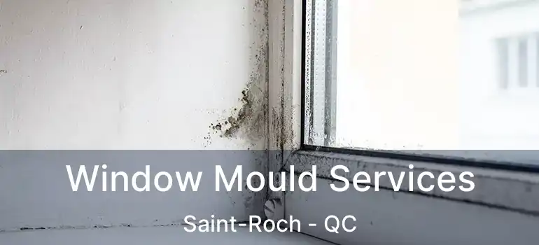  Window Mould Services Saint-Roch - QC