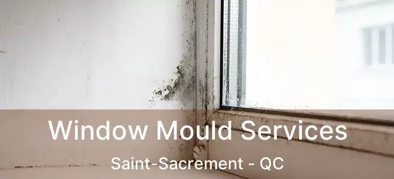 Window Mould Services Saint-Sacrement - QC