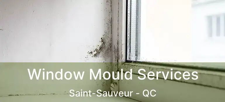  Window Mould Services Saint-Sauveur - QC