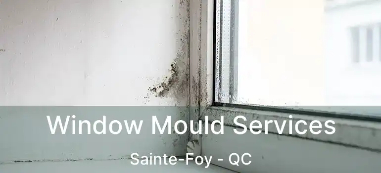  Window Mould Services Sainte-Foy - QC