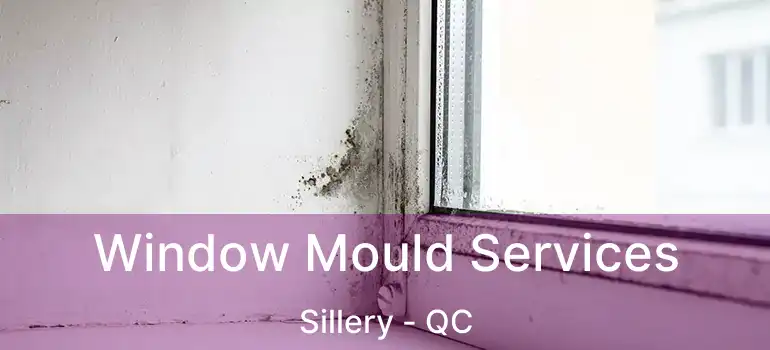  Window Mould Services Sillery - QC