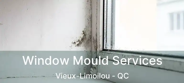  Window Mould Services Vieux-Limoilou - QC