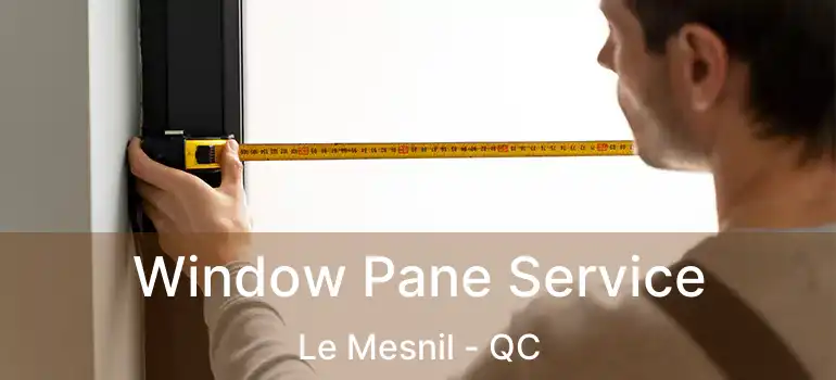  Window Pane Service Le Mesnil - QC