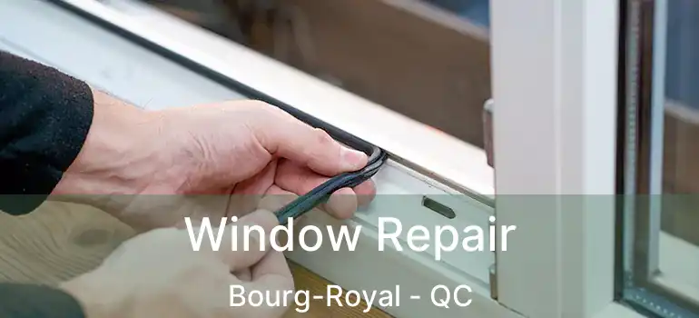  Window Repair Bourg-Royal - QC