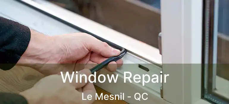  Window Repair Le Mesnil - QC