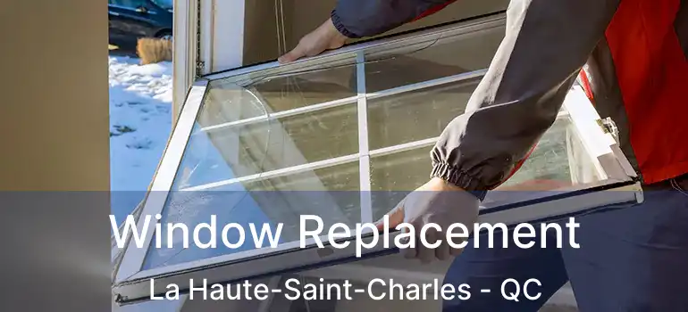  Window Replacement La Haute-Saint-Charles - QC