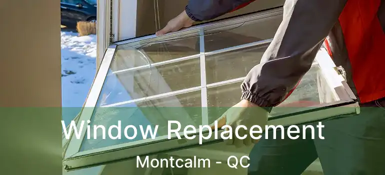  Window Replacement Montcalm - QC