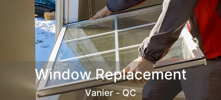  Window Replacement Vanier - QC