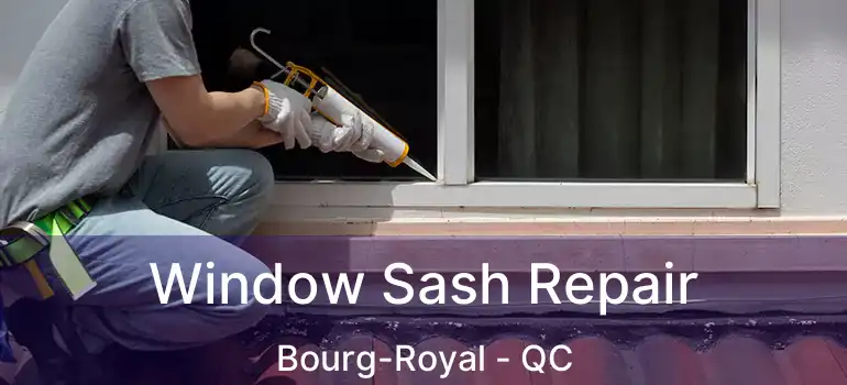  Window Sash Repair Bourg-Royal - QC