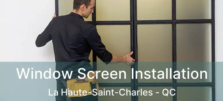  Window Screen Installation La Haute-Saint-Charles - QC