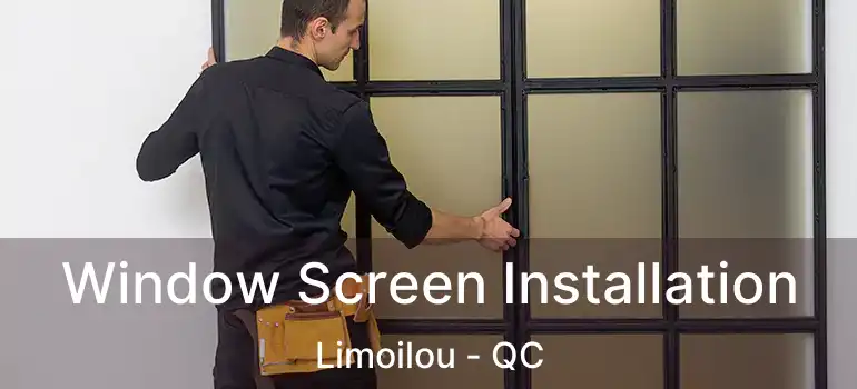  Window Screen Installation Limoilou - QC