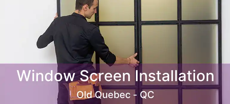  Window Screen Installation Old Quebec - QC