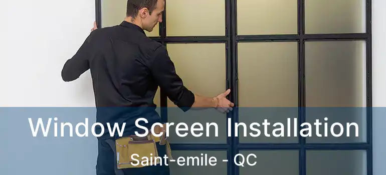  Window Screen Installation Saint-emile - QC