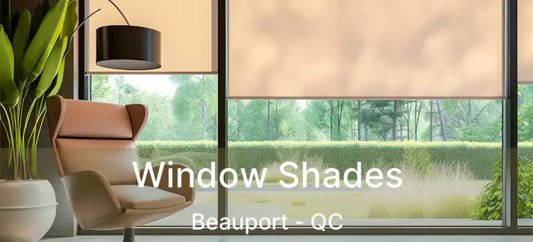  Window Shades Beauport - QC