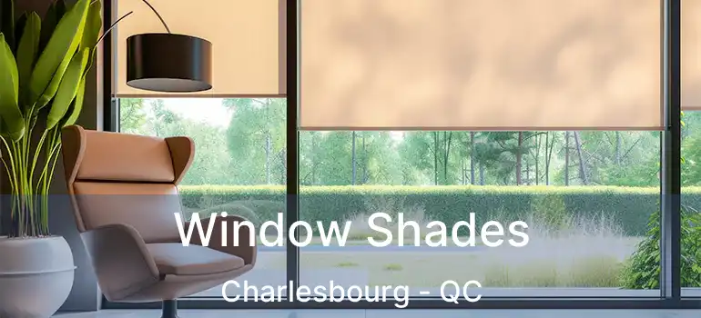  Window Shades Charlesbourg - QC