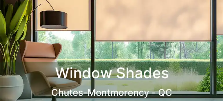  Window Shades Chutes-Montmorency - QC