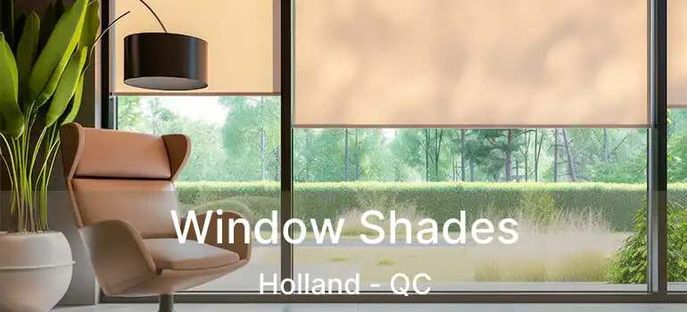  Window Shades Holland - QC