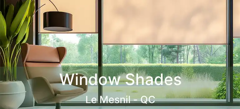  Window Shades Le Mesnil - QC