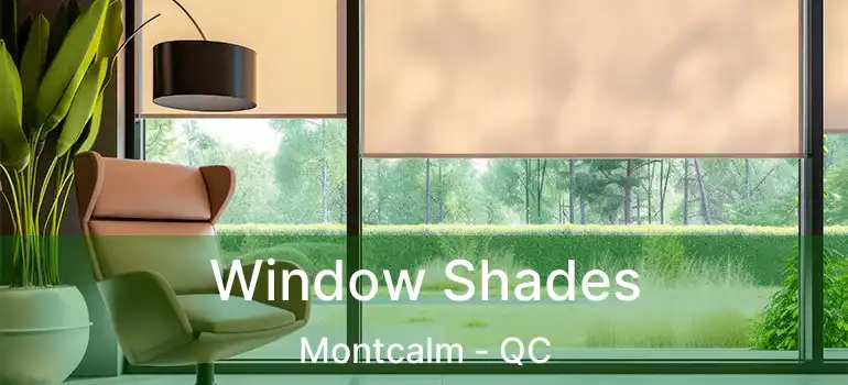  Window Shades Montcalm - QC