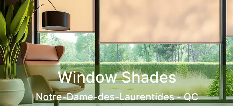  Window Shades Notre-Dame-des-Laurentides - QC