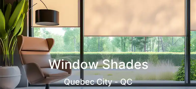 Window Shades Quebec City - QC