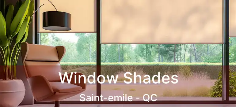  Window Shades Saint-emile - QC
