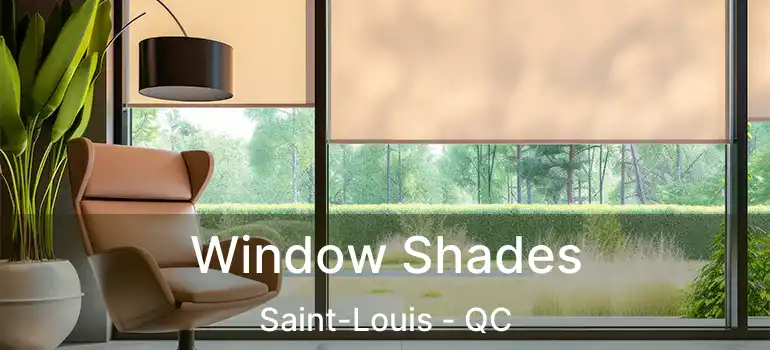  Window Shades Saint-Louis - QC