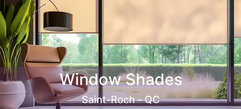 Window Shades Saint-Roch - QC