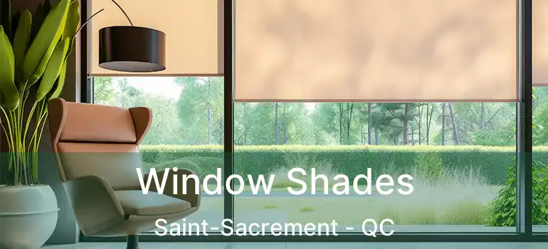  Window Shades Saint-Sacrement - QC