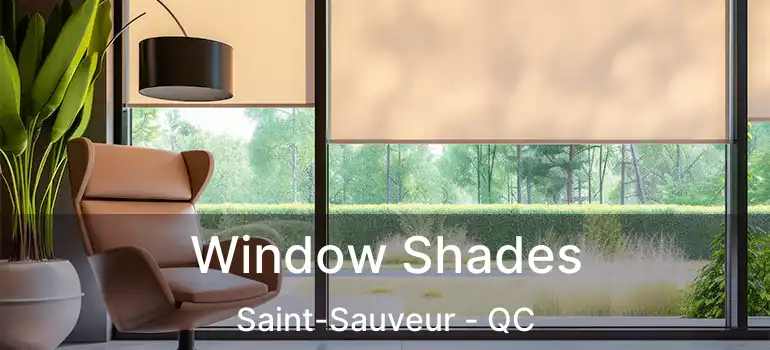  Window Shades Saint-Sauveur - QC