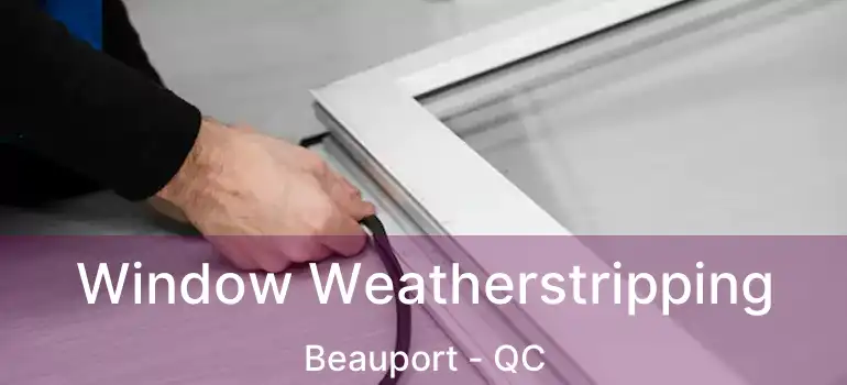  Window Weatherstripping Beauport - QC