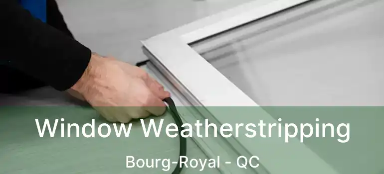  Window Weatherstripping Bourg-Royal - QC