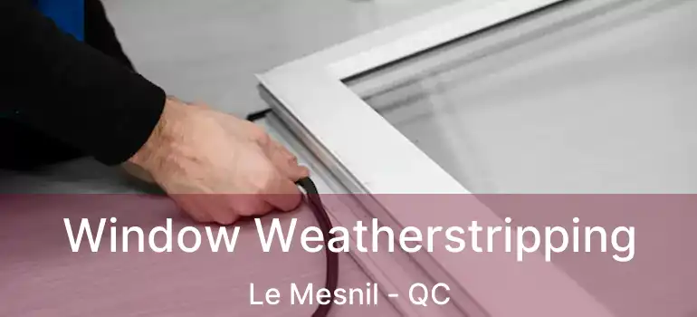  Window Weatherstripping Le Mesnil - QC