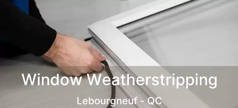  Window Weatherstripping Lebourgneuf - QC