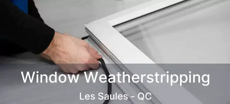  Window Weatherstripping Les Saules - QC