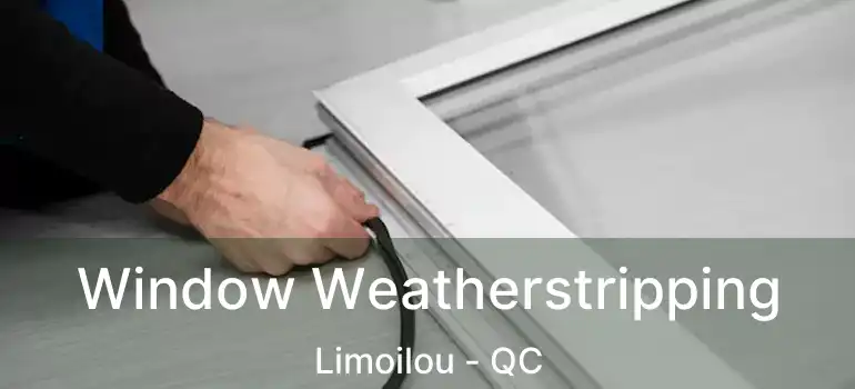  Window Weatherstripping Limoilou - QC