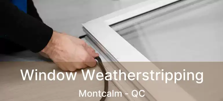  Window Weatherstripping Montcalm - QC
