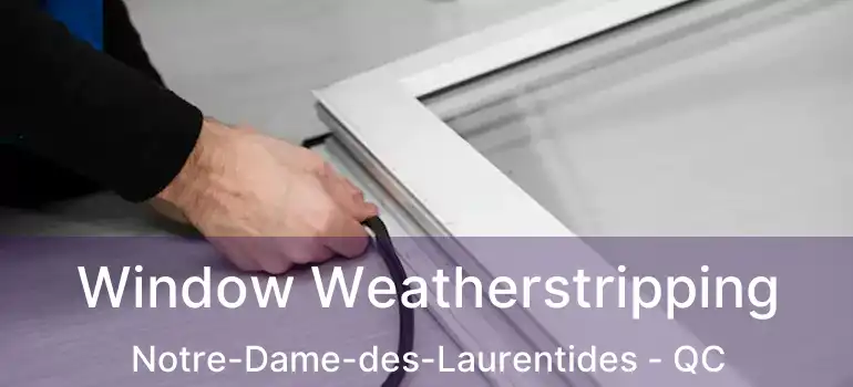 Window Weatherstripping Notre-Dame-des-Laurentides - QC