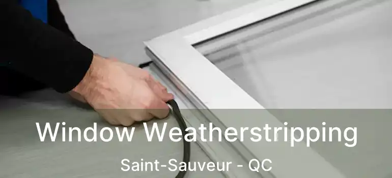  Window Weatherstripping Saint-Sauveur - QC